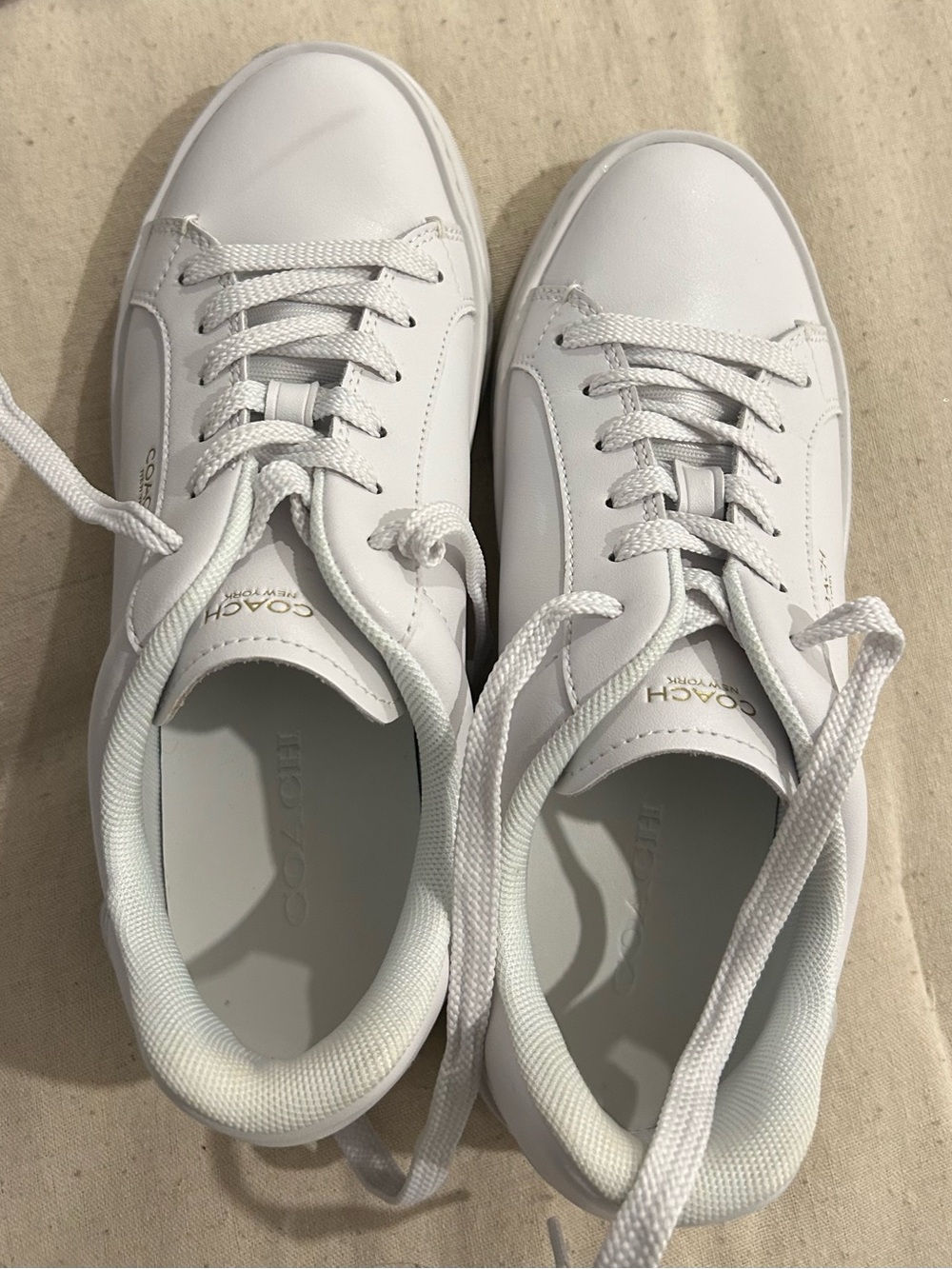 Coach sneakers